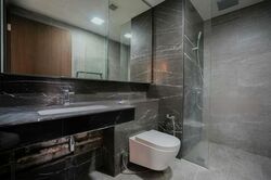 Thomson Impressions (D20), Apartment #479346681